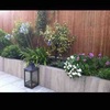 Mejorar las jardineras de mi terraza