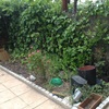 Mantener jardin