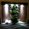 Hacer Jardin Vertical para Muros