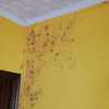 Pintar Interior De Vivienda