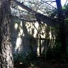 Derribo de naves y retirada de escombros