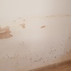 Pintar Interior De Vivienda