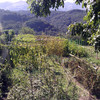 Mejora del Agua de Riego