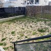 Diseñar Jardín