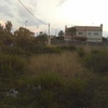 Desbrozar Jardín