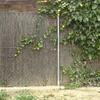Construir Muro Bloque