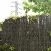 Reparación de valla jardin