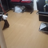 Poner Parquet o Tarima Vivienda (Parcial)