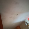 Pintar Interior Vivienda o local