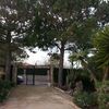 Talar / corte de pinos son 4 pinos