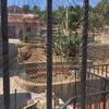 Reforma de piscina