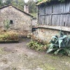 Hacer puesta a punto de jardín
