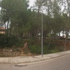 Presupuesto cerramiento parcela en begues