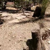 Diseñar Jardín