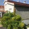 Pintar Exterior Casa (Unifamiliar)