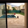 Poner 90 m2 de Tarima de Madera en Exterior
