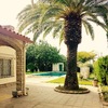 Mantener Jardín