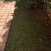 Reformar el jardín
