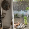 Otros Trabajos De Carpintería Metálica