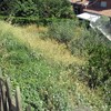 Limpar Parcela de Hiervas con Desbrozadora
