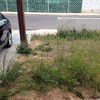Suministrar Carpintería Aluminio
