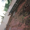 Reforma de terraza en palma