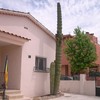 Retirar cactus en banyoles