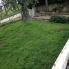 Tala de arboles de la parcela