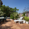 Cortar las raices de los árboles y plantas de la terraza