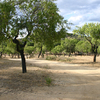 Desbrozar Jardín