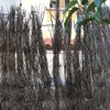 Otros Trabajos De Jardinería