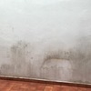 Decorar Habitación