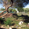Construir Casa Prefabricada