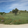 Vallar parcela 2700 m2 aproximados