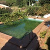Depurador de piscina