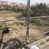 Desbrozar Jardín