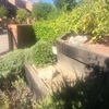 Pequeños Trabajos Jardinería