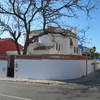 Podar arbol