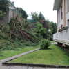 Mantener Jardín