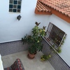 Techado de patio en san vicente del raspeig
