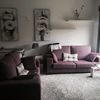 Decorar Vivienda