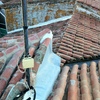 Proyectar Poliuretano