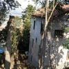 Puesta a punto jardín
