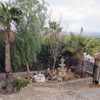 Mantener Jardin