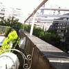 Instalar celosia de madera en terraza