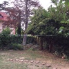 Podar arboles pequeños