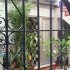 Reformar -construccion