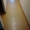 Cambiar Suelo Local Comercial