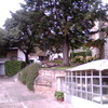 Mantener Jardín