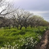 Vallar un terreno agricola